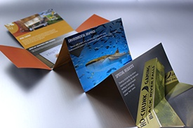 SS-Wide-Format-Brochure.jpg