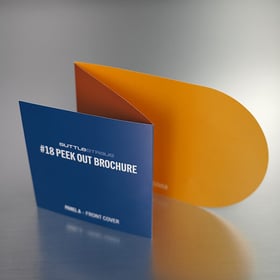 thumbnail_18_PeekOutBrochure