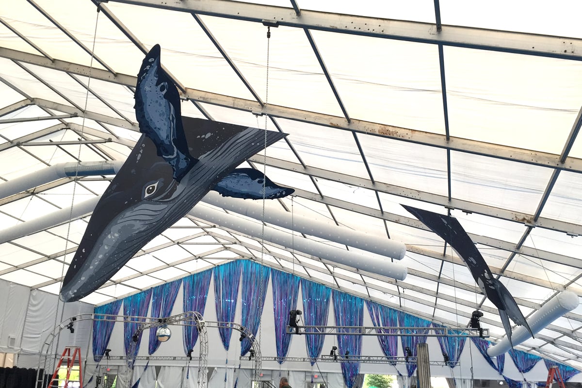 Epic-Whale-Display2